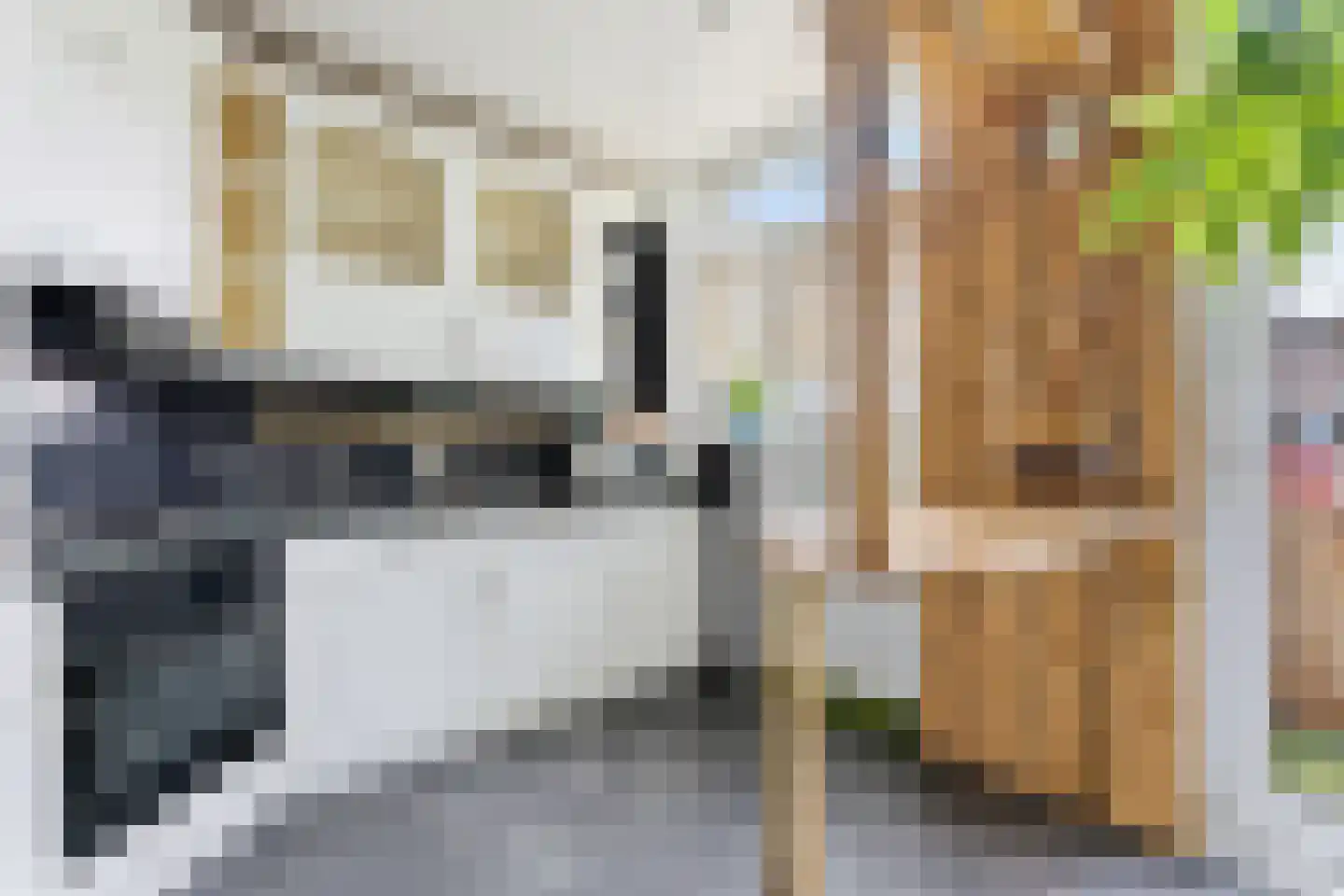 Händelstraat 21 Vlaardingen thumbnail 16
