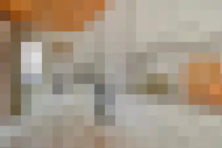 Händelstraat 3 Halsteren thumbnail 13