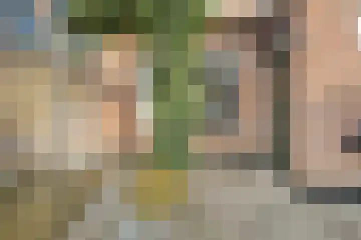 Händelstraat 3 Halsteren thumbnail 34