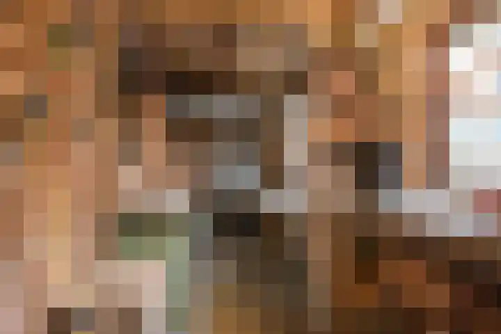 Händelstraat 3 Halsteren thumbnail 38