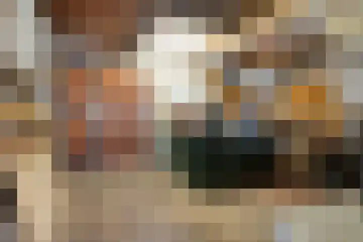 Händelstraat 3 Halsteren thumbnail 39