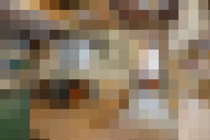 Händelstraat 3 Halsteren thumbnail 41
