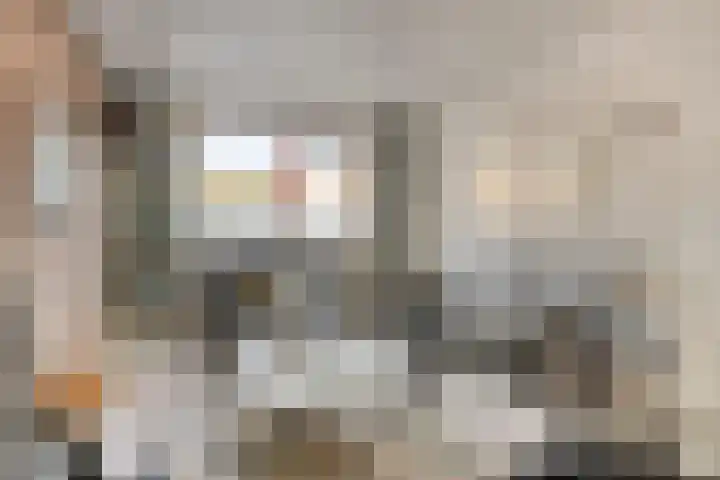 Händelstraat 3 Halsteren thumbnail 7