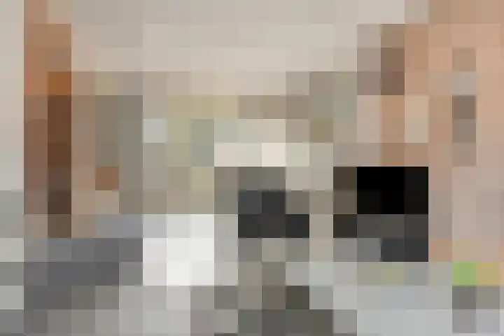 Händelstraat 3 Halsteren thumbnail 8