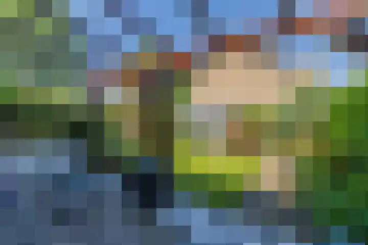 Händelstraat 30 Lisse thumbnail 36