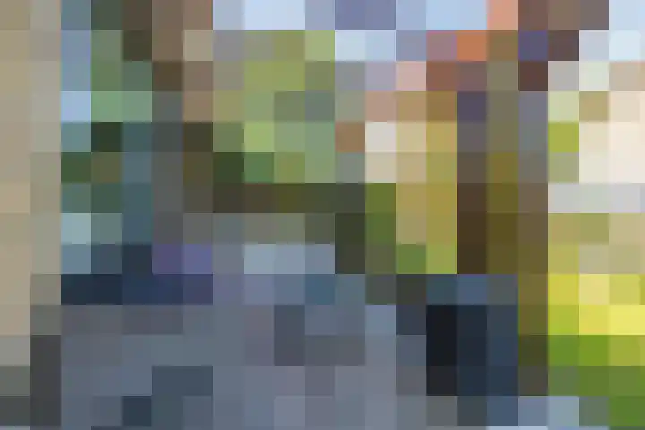 Händelstraat 30 Lisse thumbnail 37