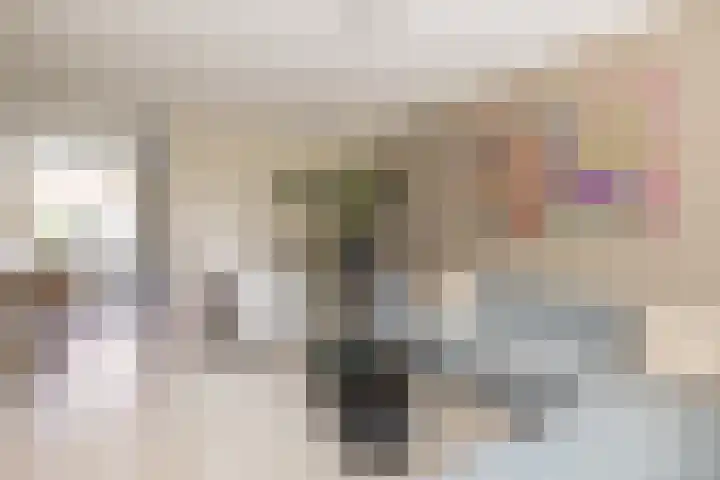 Händelstraat 30 Lisse thumbnail 5