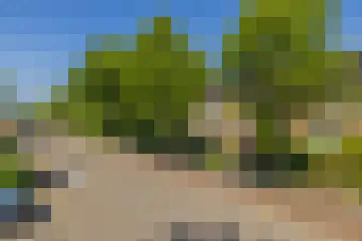 Händelstraat 30 Lisse thumbnail 52