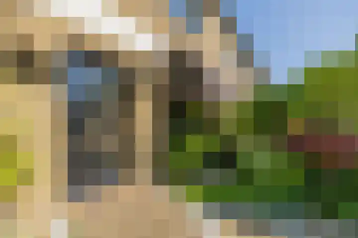 Händelstraat 30 Lisse thumbnail 55