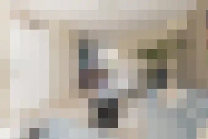 Händelstraat 30 Lisse thumbnail 6