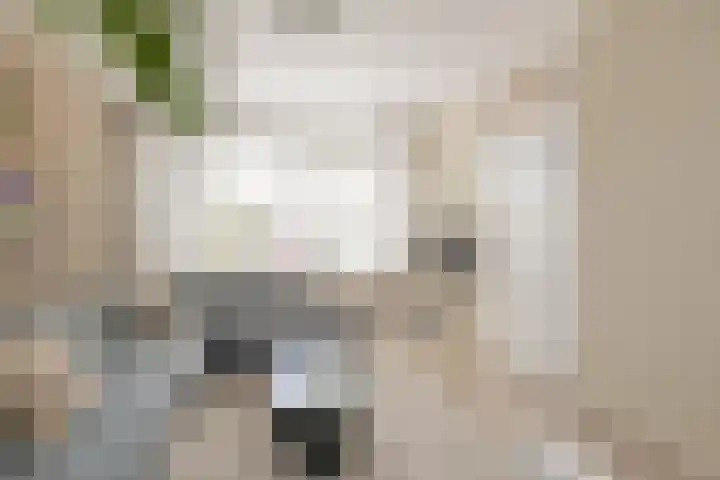 Händelstraat 30 Lisse thumbnail 8