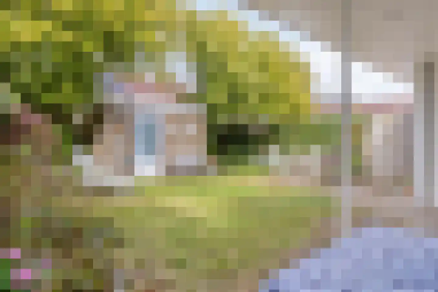 Händelstraat 33 Boxtel thumbnail 29