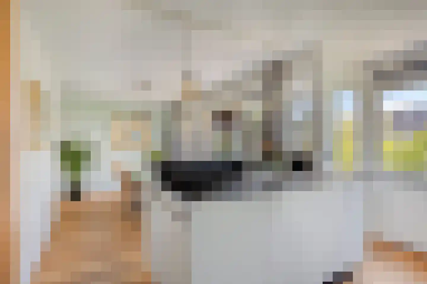 Händelstraat 4 Castricum thumbnail 36