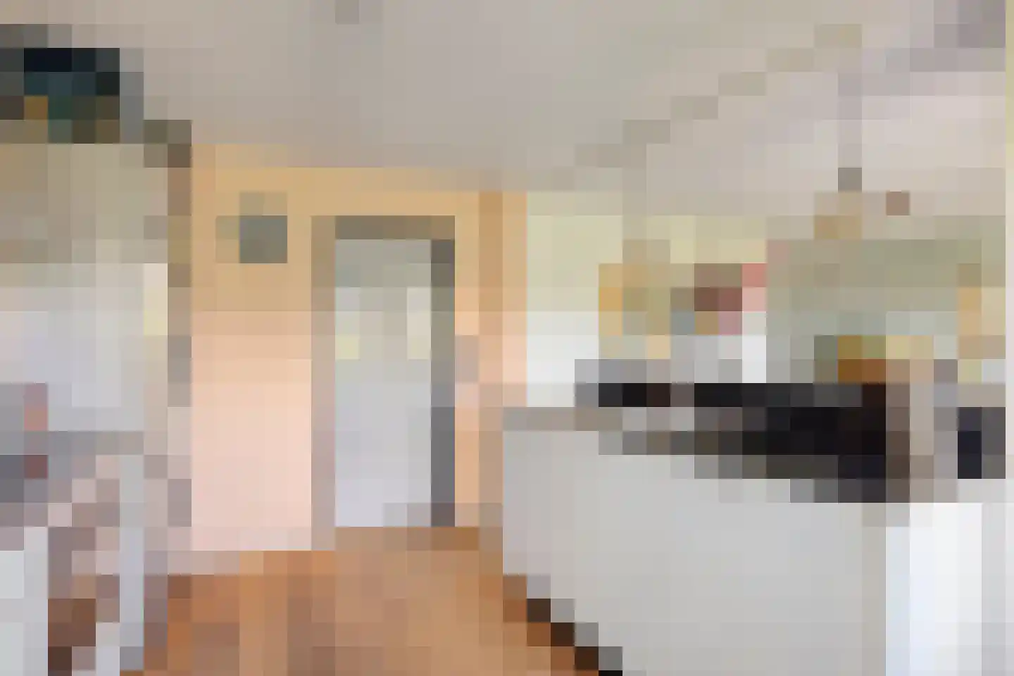 Händelstraat 4 Castricum thumbnail 4