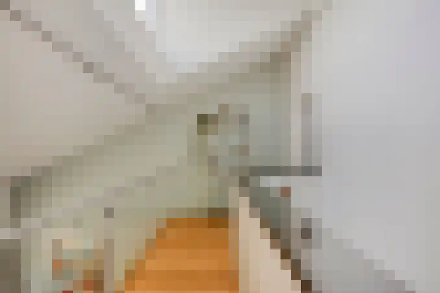 Händelstraat 4 Castricum thumbnail 40