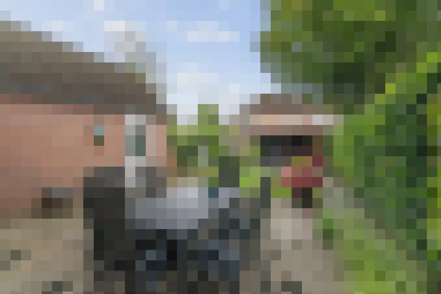 Händelstraat 43 Twello thumbnail 23