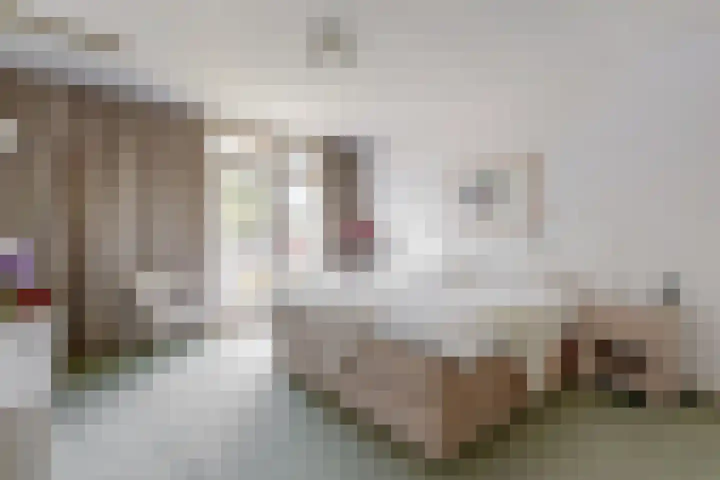 Händelstraat 44 Aalsmeer thumbnail 16