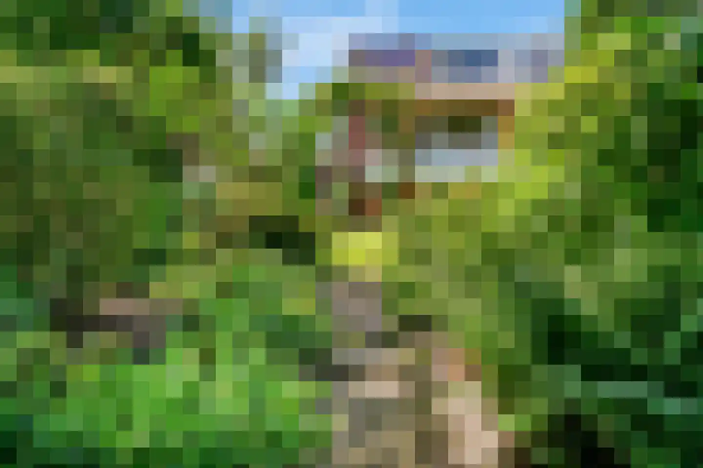 Händelstraat 44 Aalsmeer thumbnail 36