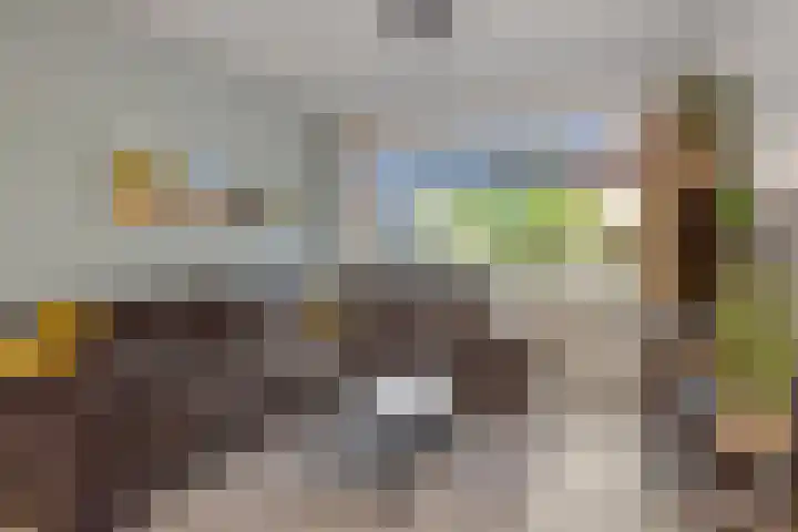 Händelstraat 5 Deurne thumbnail 10