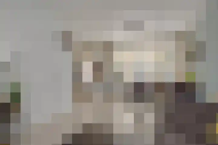 Händelstraat 5 Deurne thumbnail 11