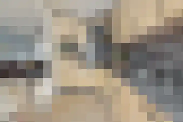 Händelstraat 5 Deurne thumbnail 17