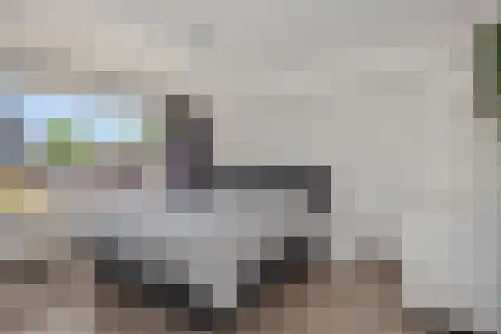 Händelstraat 5 Deurne thumbnail 21