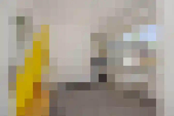 Händelstraat 5 Deurne thumbnail 23