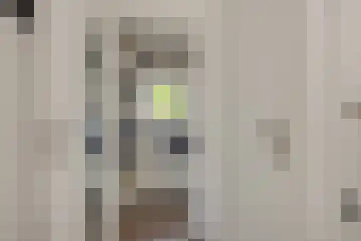 Händelstraat 5 Deurne thumbnail 24