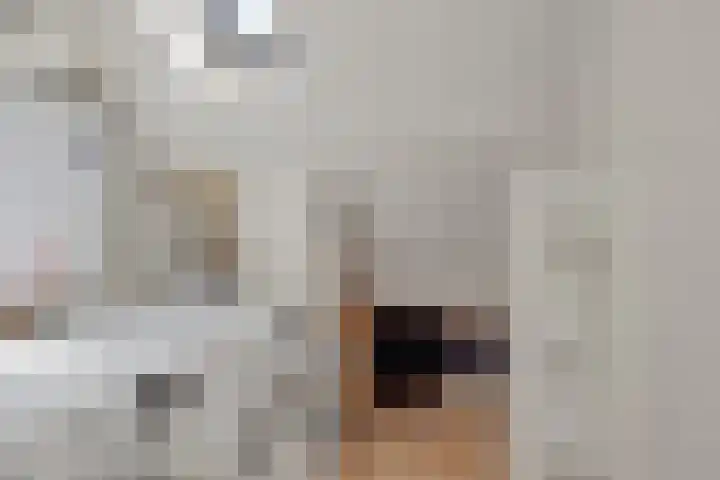 Händelstraat 5 Deurne thumbnail 30