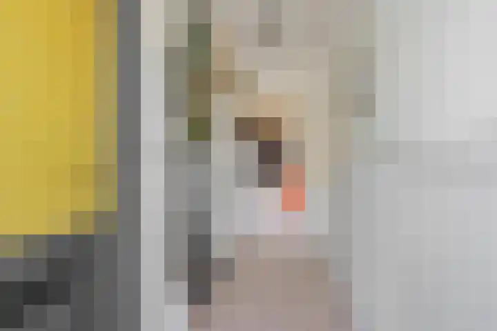 Händelstraat 5 Deurne thumbnail 7