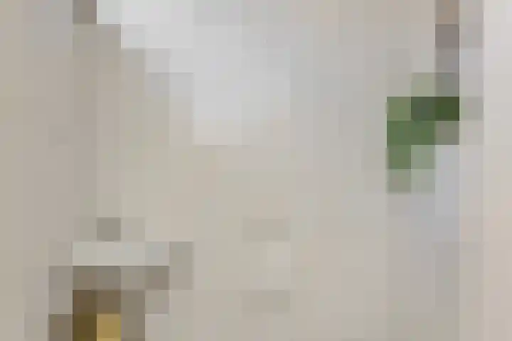 Händelstraat 5 Deurne thumbnail 9