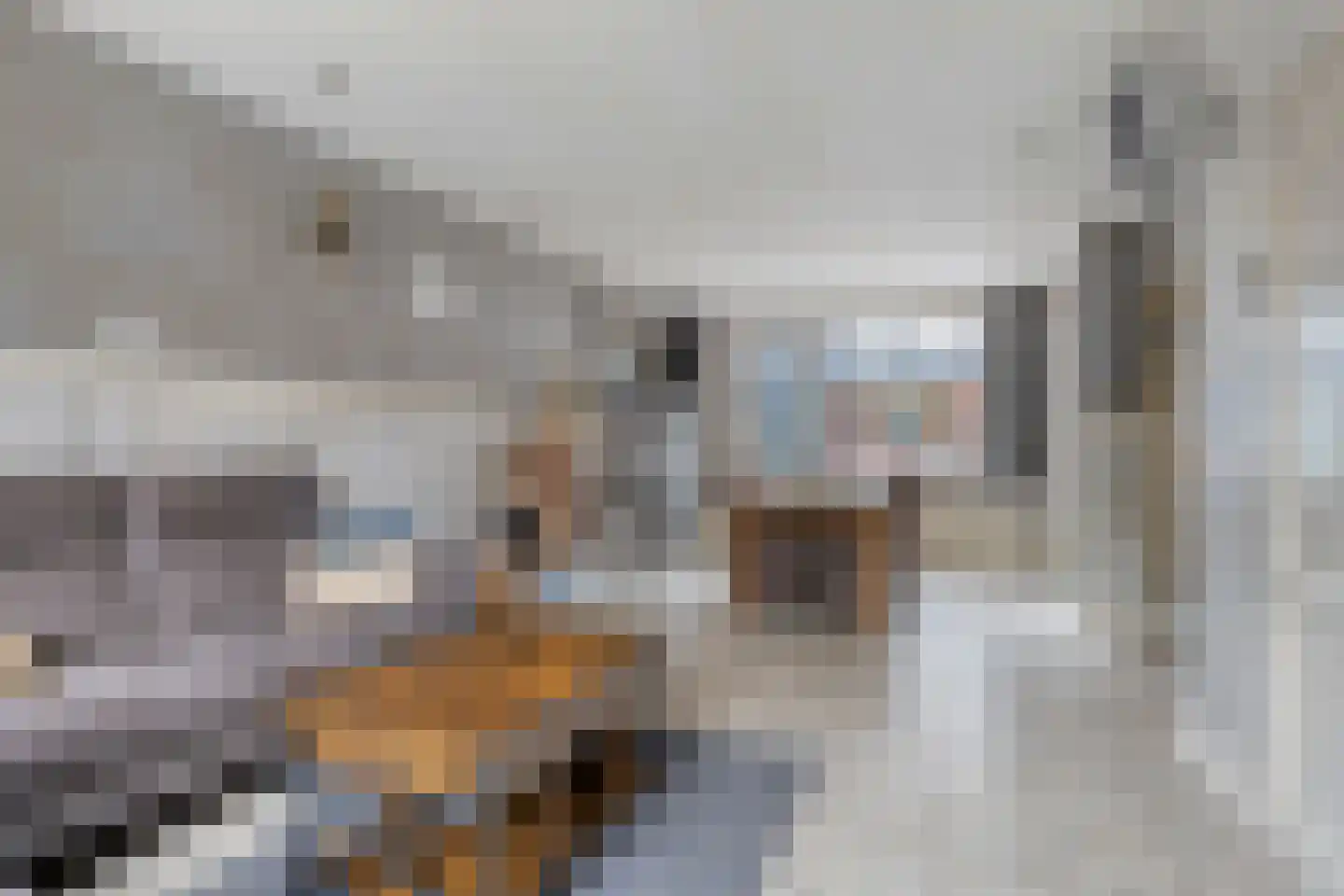 Händelstraat 5 Halsteren thumbnail 10