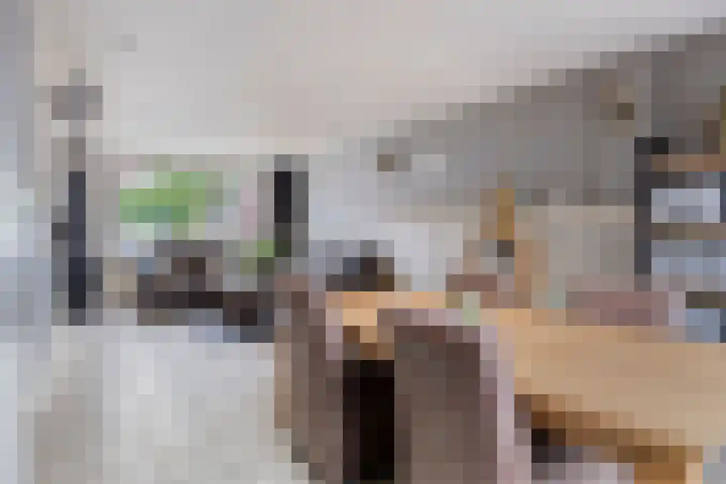 Händelstraat 5 Halsteren thumbnail 11