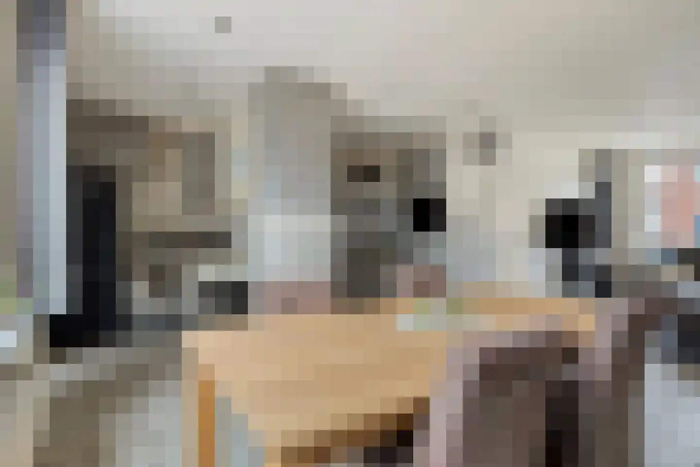 Händelstraat 5 Halsteren thumbnail 13