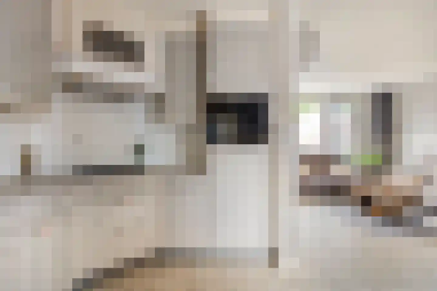 Händelstraat 5 Halsteren thumbnail 14