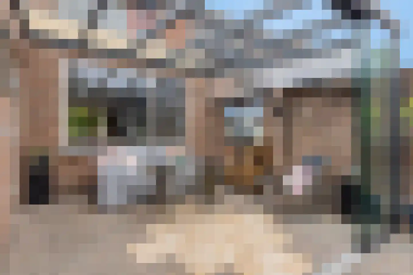 Händelstraat 5 Halsteren thumbnail 37