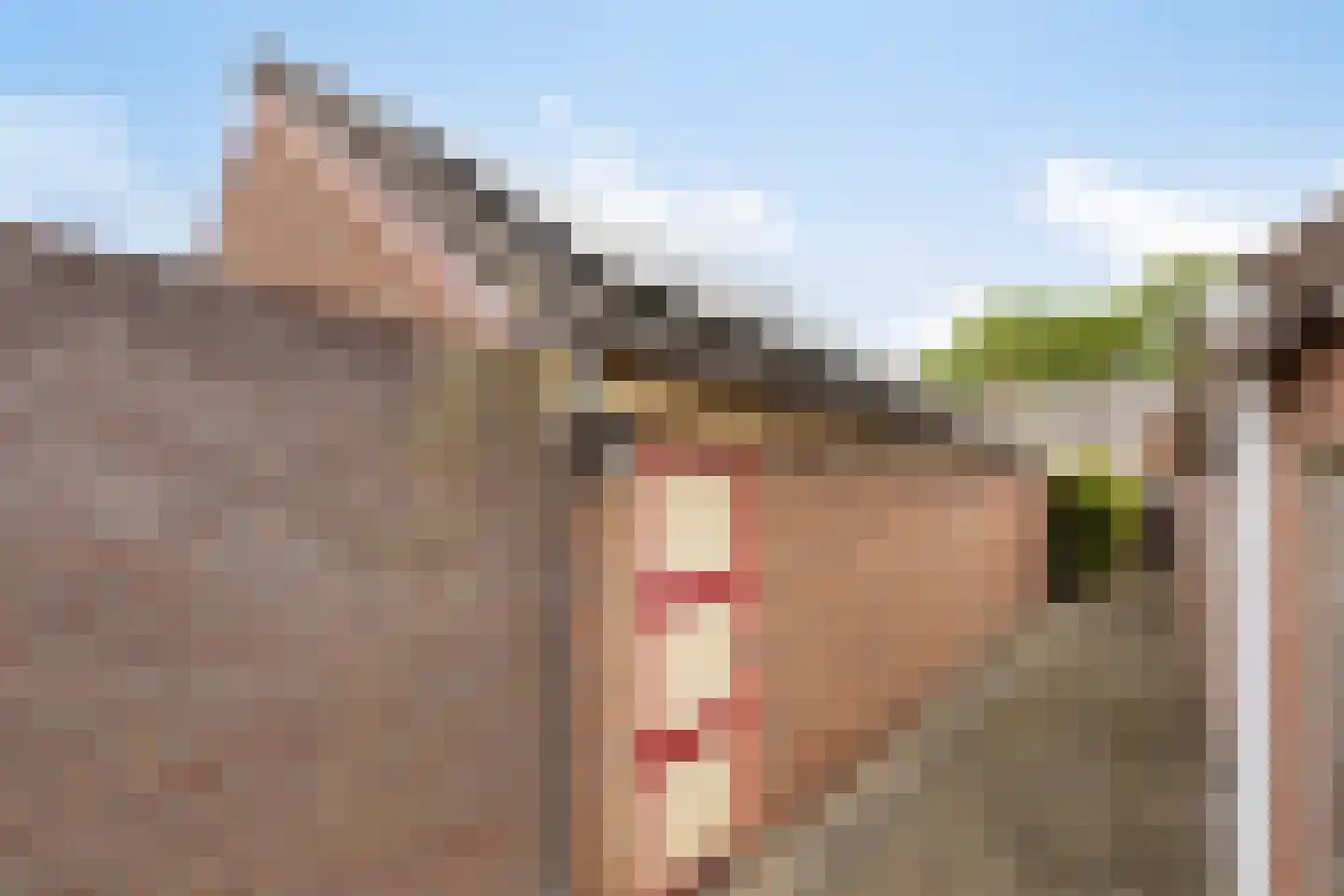Händelstraat 5 Halsteren thumbnail 46