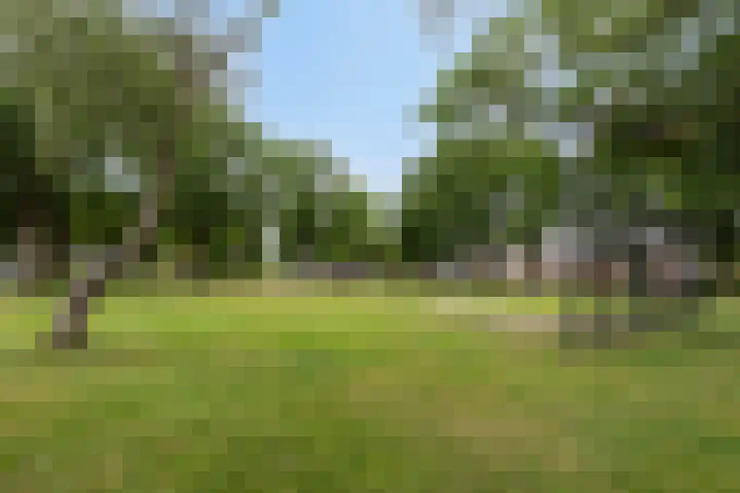 Händelstraat 5 Halsteren thumbnail 5