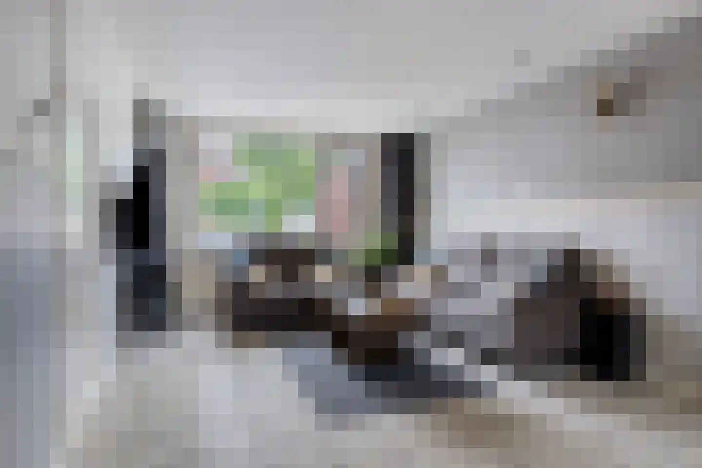 Händelstraat 5 Halsteren thumbnail 9