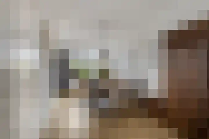 Händelstraat 54 Tiel thumbnail 11