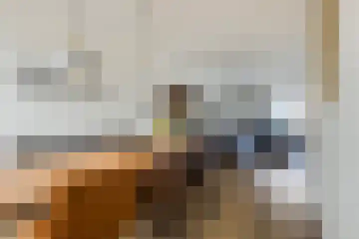 Händelstraat 54 Tiel thumbnail 13