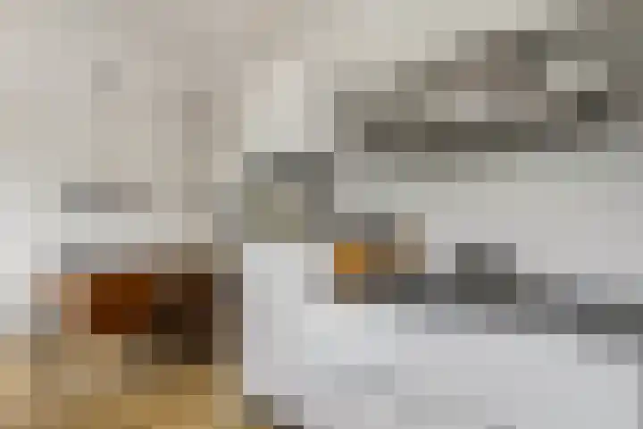 Händelstraat 54 Tiel thumbnail 16