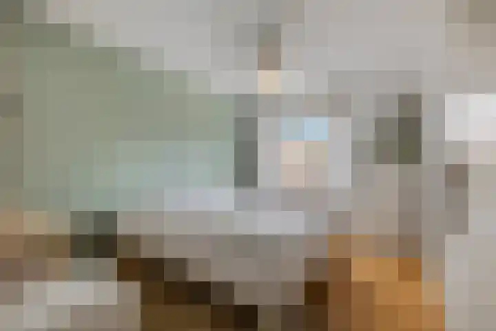 Händelstraat 54 Tiel thumbnail 22