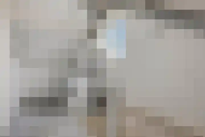 Händelstraat 54 Tiel thumbnail 33