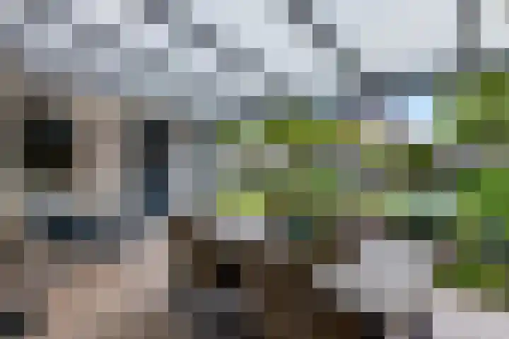 Händelstraat 54 Tiel thumbnail 37