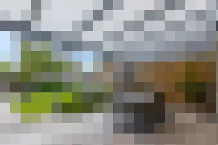Händelstraat 54 Tiel thumbnail 38