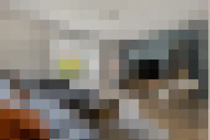 Händelstraat 54 Tiel thumbnail 8