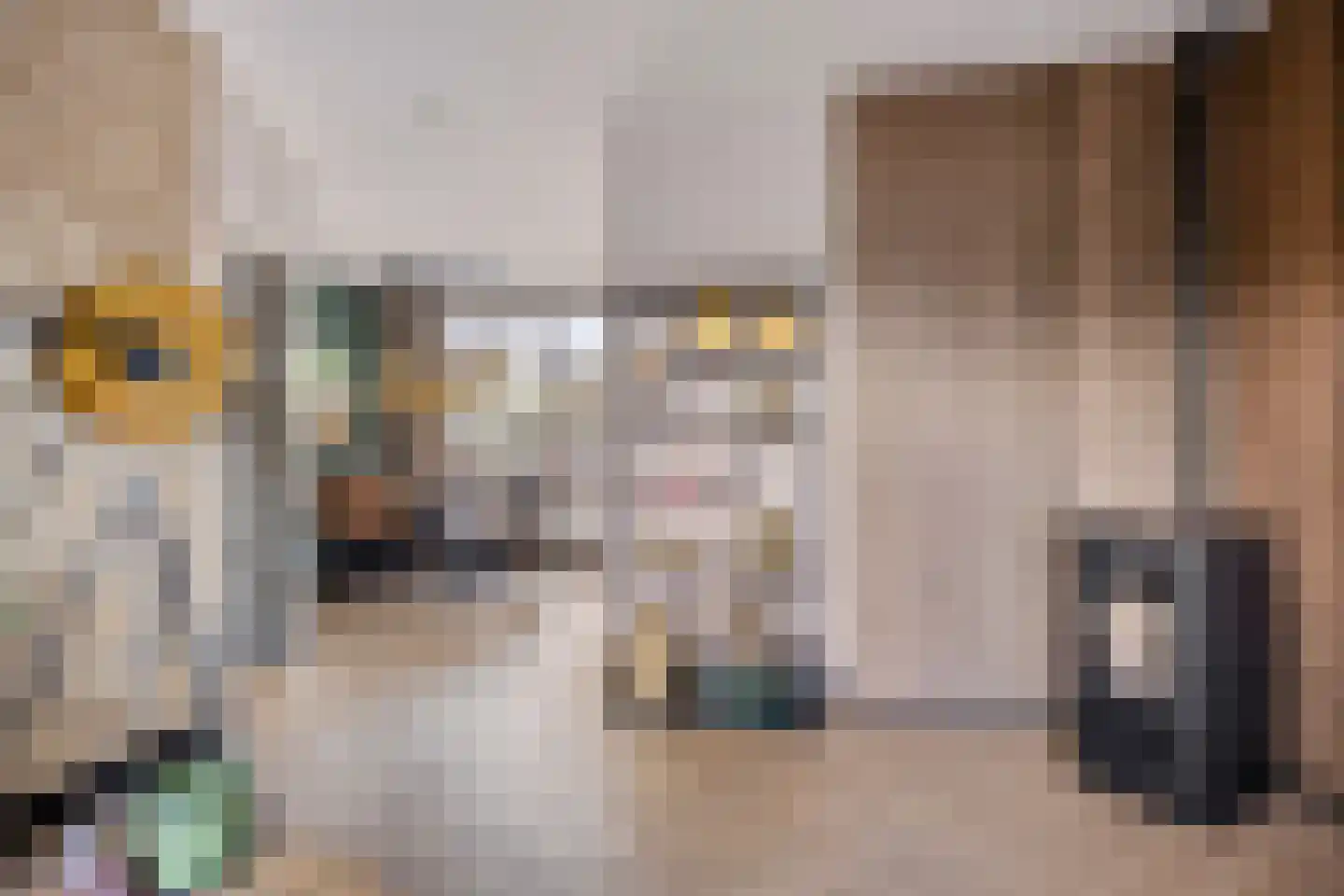 Händelstraat 7 Boxtel thumbnail 5