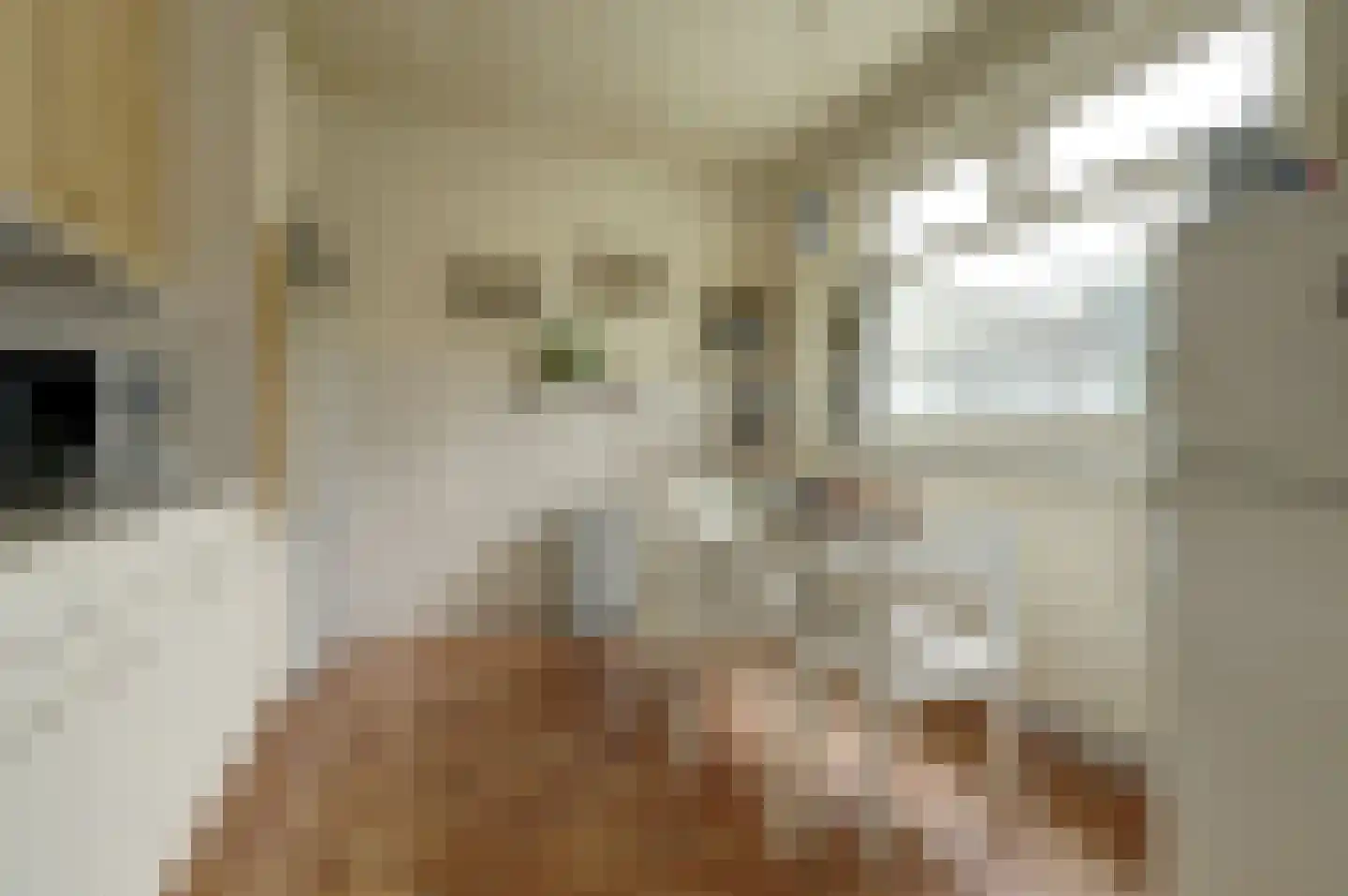 Händelstraat 7 Halsteren thumbnail 13