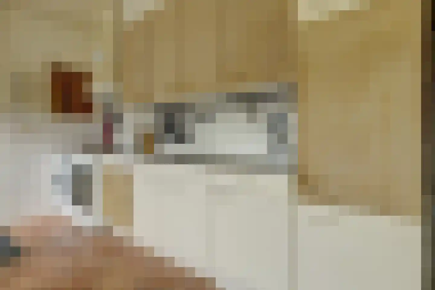 Händelstraat 7 Halsteren thumbnail 14